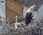 Capi_Dubne_20260507_155002.jpg