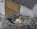 Capi_Dubne_20260507_160002.jpg