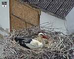 Capi_Dubne_20260507_160503.jpg
