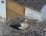 Capi_Dubne_20260507_161003.jpg