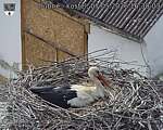 Capi_Dubne_20260507_163003.jpg