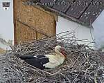 Capi_Dubne_20260507_163503.jpg