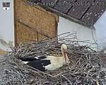 Capi_Dubne_20260507_164003.jpg
