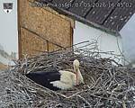 Capi_Dubne_20260507_164502.jpg