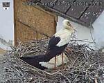 Capi_Dubne_20260507_165503.jpg