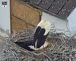 Capi_Dubne_20260507_170003.jpg