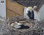 Capi_Dubne_20260507_171003.jpg