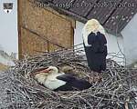 Capi_Dubne_20260507_172004.jpg