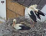 Capi_Dubne_20260507_172502.jpg