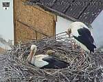 Capi_Dubne_20260507_173503.jpg