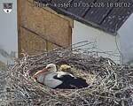 Capi_Dubne_20260507_180002.jpg