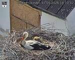 Capi_Dubne_20260507_181002.jpg