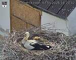 Capi_Dubne_20260507_182002.jpg
