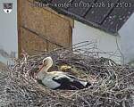Capi_Dubne_20260507_182503.jpg