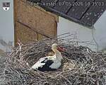 Capi_Dubne_20260507_183503.jpg