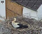 Capi_Dubne_20260507_185003.jpg