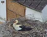 Capi_Dubne_20260507_190003.jpg