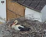 Capi_Dubne_20260507_190502.jpg