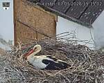 Capi_Dubne_20260507_191502.jpg