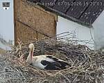 Capi_Dubne_20260507_192003.jpg
