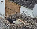 Capi_Dubne_20260507_194003.jpg