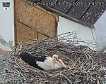 Capi_Dubne_20260507_194503.jpg
