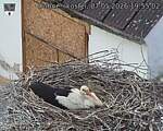 Capi_Dubne_20260507_195502.jpg