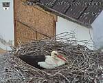 Capi_Dubne_20260507_200003.jpg