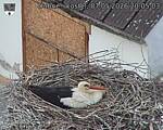 Capi_Dubne_20260507_200503.jpg