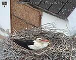 Capi_Dubne_20260507_202003.jpg