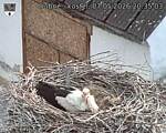 Capi_Dubne_20260507_203503.jpg