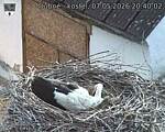 Capi_Dubne_20260507_204002.jpg