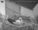Capi_Dubne_20260507_205503.jpg