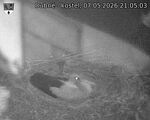 Capi_Dubne_20260507_210503.jpg