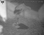 Capi_Dubne_20260507_221502.jpg