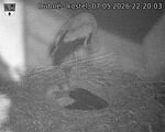 Capi_Dubne_20260507_222003.jpg
