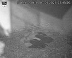 Capi_Dubne_20260507_224503.jpg