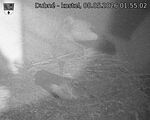 Capi_Dubne_20260508_015502.jpg