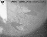 Capi_Dubne_20260508_021503.jpg
