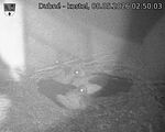 Capi_Dubne_20260508_025003.jpg