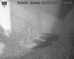 Capi_Dubne_20260508_031002.jpg