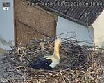 Capi_Dubne_20260508_061004.jpg