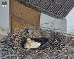 Capi_Dubne_20260508_073003.jpg