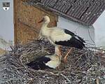 Capi_Dubne_20260508_080503.jpg