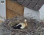 Capi_Dubne_20260508_081003.jpg