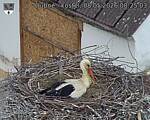 Capi_Dubne_20260508_082503.jpg