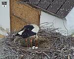 Capi_Dubne_20260508_083504.jpg