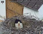 Capi_Dubne_20260508_090504.jpg