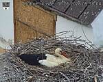 Capi_Dubne_20260508_095004.jpg
