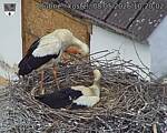 Capi_Dubne_20260508_102003.jpg